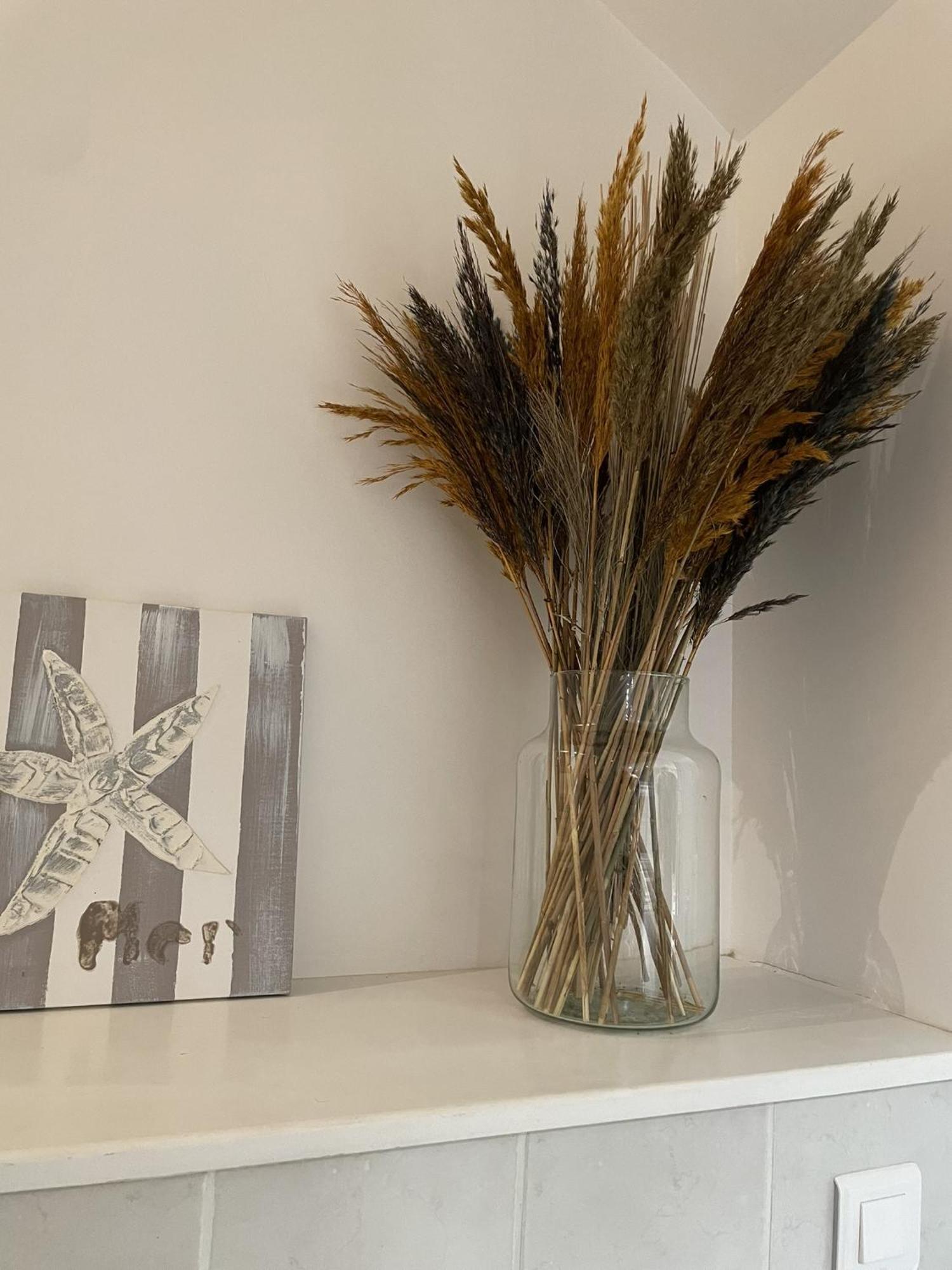 Superbe Studio Centre Limoges Luaran gambar
